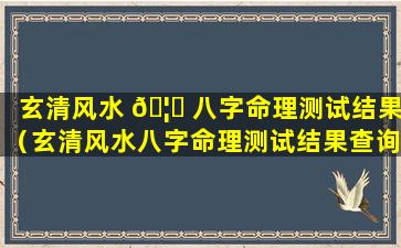 玄清风水 🦄 八字命理测试结果（玄清风水八字命理测试结果查询）